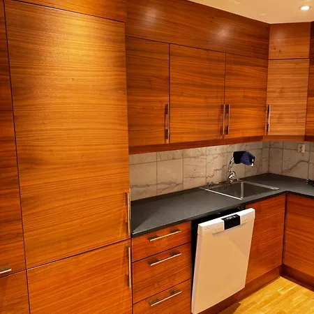 Apartment Sentrumsnaer Med Fantastisk Utsikt