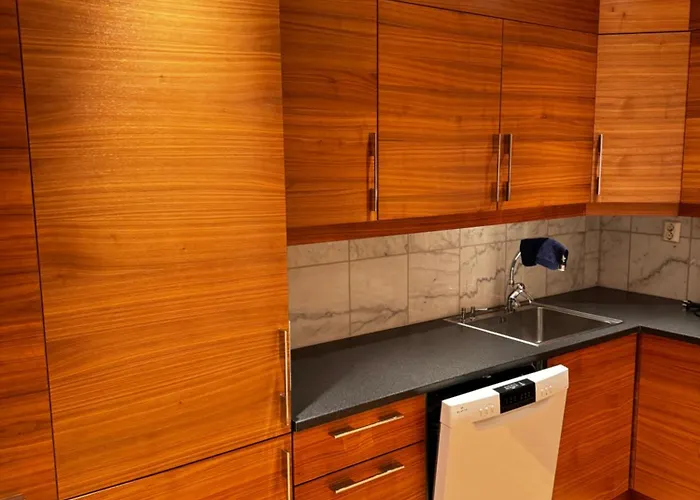 Apartamento Sentrumsnaer Med Fantastisk Utsikt