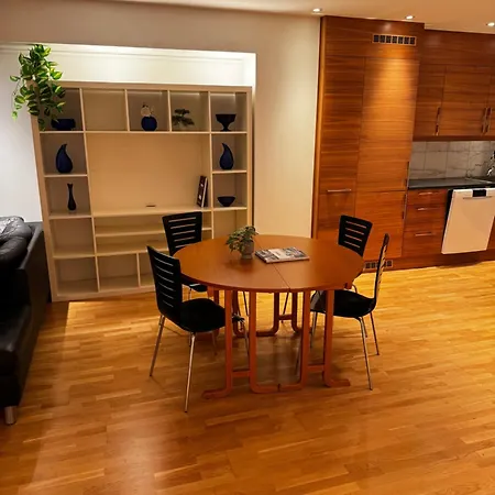 Sentrumsnaer Med Fantastisk Utsikt * Tromso